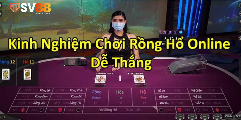 Cách chơi Rồng Hổ thắng lớn được cao thủ bật mí