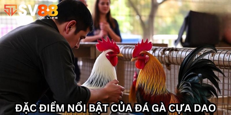 Đá Gà Cựa Dao - Siêu Phẩm Cá Cược Đổi Thưởng Cực Khủng