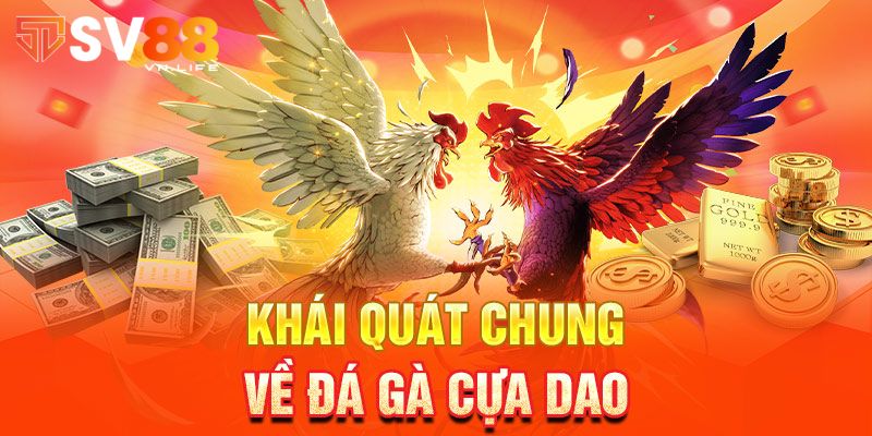 Khái quát đá gà cựa dao online