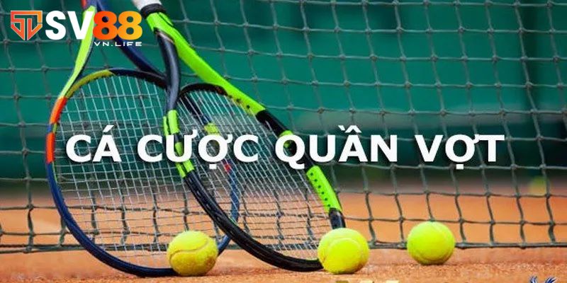 Khách hàng mới cần biết các loại cá cược tennis phổ biến nhất