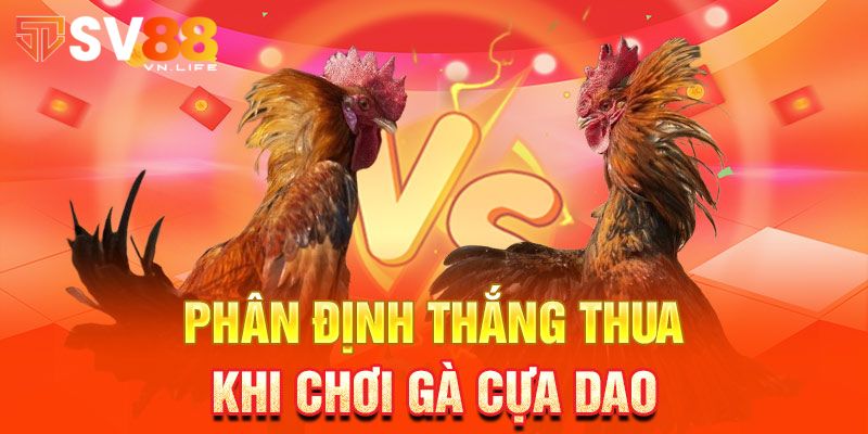 Hướng dẫn chơi đá gà cựa dao chi tiết cho người mới