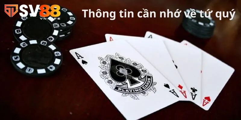 Tứ Quý Chặn Được Gì? Tổng Hợp Thông Tin Quan Trọng, Hấp Dẫn 